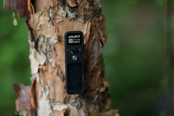 Sensor instalado en un árbol del ‘Avanade Intelligent Garden’. 